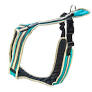 Führ- und Zuggeschirr Safety südsee-türkis -NEU 