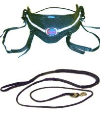 Canicross basic Einsteiger-Set M (bis 90cm)