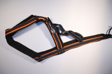 X-Back  Orange,Schwarz,Türkis, Neongelbgrün 