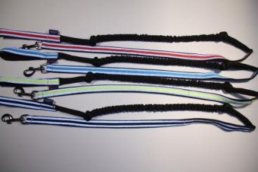 Schlauchbandleine Zero DC 1Hund mit Ruckdämpfer und 