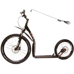 Kostka Fairbanks Cross-II 