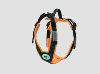 Kurzgeschirr, Freespirit, Führgeschirr 