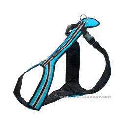 Führ- und Zuggeschirr Safety tuerkis 